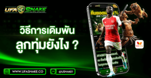 วิธีการเดิมพันลูกทุ่มยังไง